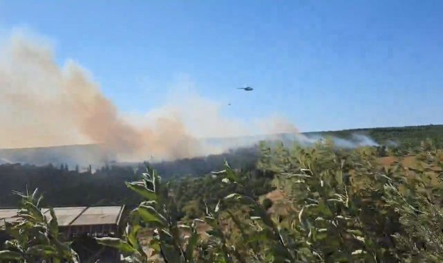 Yalova'da 2 ayrı noktada orman yangını