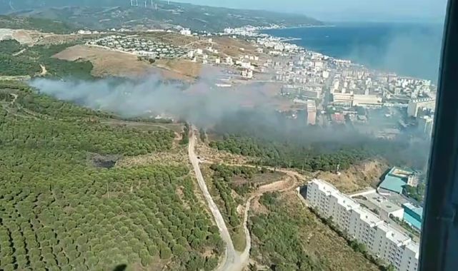 Yalova'da 2 ayrı noktada orman yangını