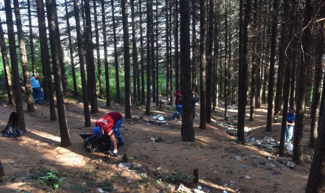 Yıldırım Belediyesi’nden orman temizliği