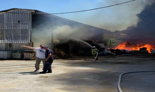 Balıkesir'de çiftlik yangını 1 saatte söndürüldü