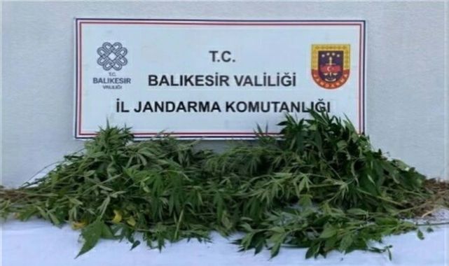 Balıkesir'de uyuşturucu operasyonu: 4 gözaltı