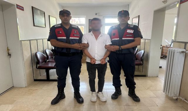 Bursa&#039;da 149 kök kenevir ele geçirildi