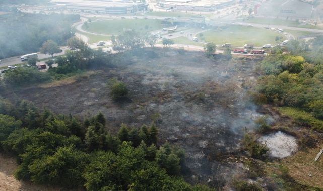 Bursa'da ağaçlık alanda çıkan yangın söndürüldü