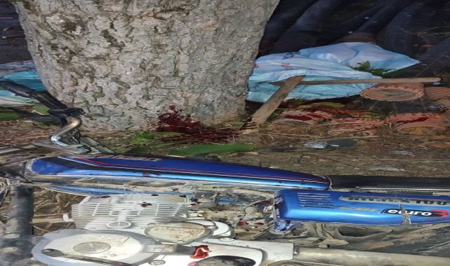 Bursa'da motosiklet ağaca çarptı: 1 ölü, 1 yaralı