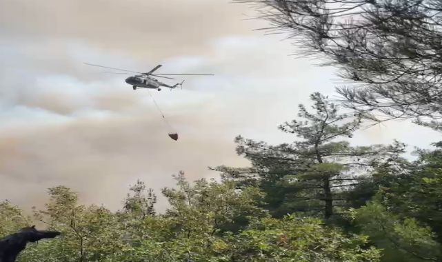 Bursa’da orman yangını
