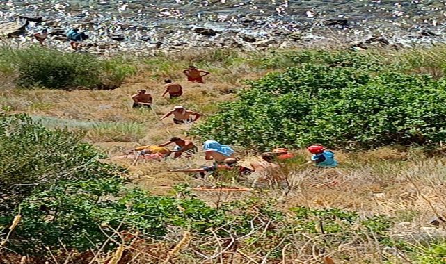 Çanakkale'de 30 metrelik uçuruma düşüp, yaralandı