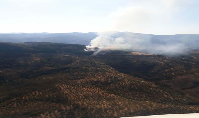 Çanakkale'de orman yangını (2)