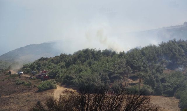 Çanakkale'de tarım arazisinde yangın; ormana sıçradı (2)