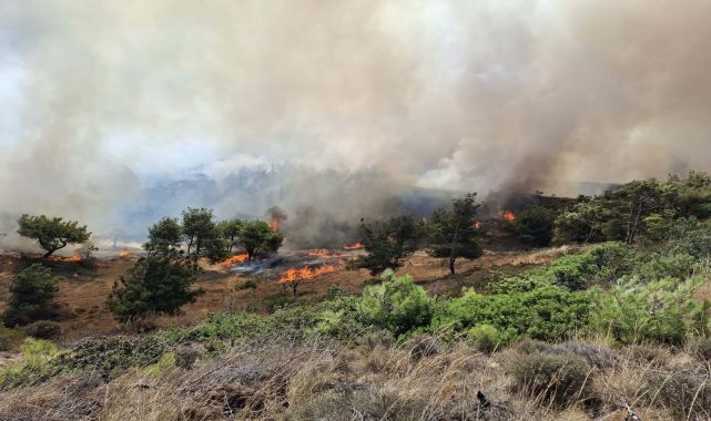 Çanakkale’de tarım arazisinde yangın