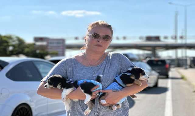 Edirne&#039;de barınaktan sahiplendiği &#039;Çiko&#039; ve &#039;Çilek&#039;i yaşadığı Almanya&#039;ya götürdü