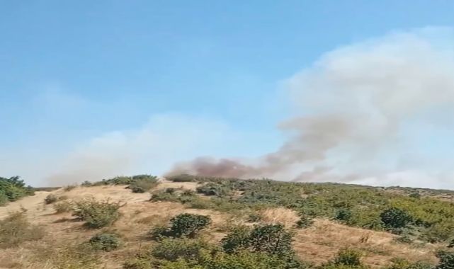 Edirne&#039;de orman yangını