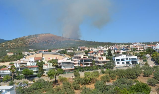 Erdek'te orman yangını