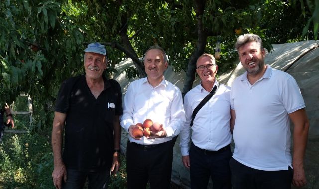 Orhangazi'de, 9 bin ton şeftali ve nektar yetiştirildi