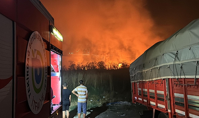 Temmuz Ayında 911 Yangın Çıktı