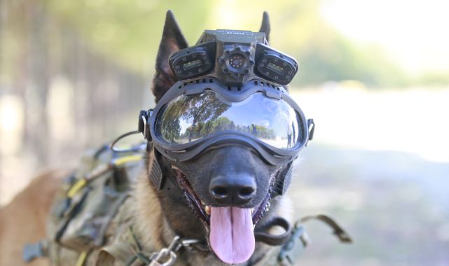 TSK'nın eğitimli köpekleri için tasarlanan sistem, 'Parka' ile test edildi