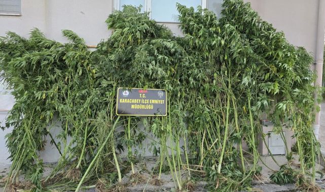 Bursa&#039;da evinde uyuşturucu bulunan şüpheli tutuklandı