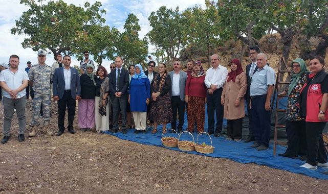 Çanakkale'de Antep Fıstığı Hasat Şenliği gerçekleştirildi