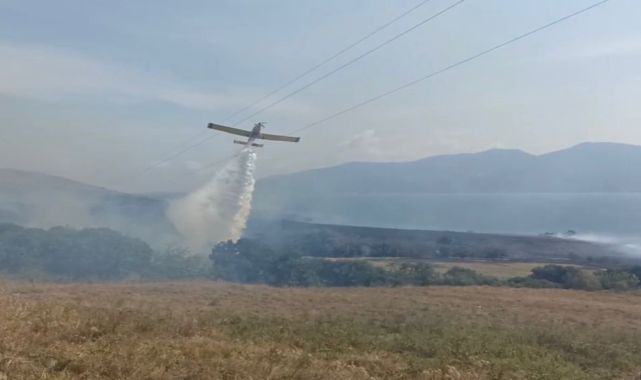 Erdek'te ot yangını; 100 dönüm alan zarar gördü