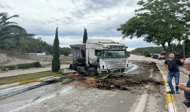 Erdek’te sürücüsünün kontrolünden çıkan TIR, ağaç ile aydınlatma direğine çarptı
