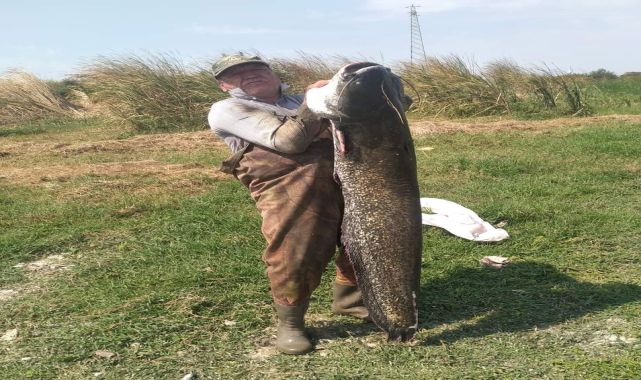 Gölette 25 kiloluk yayın balığı yakaladı