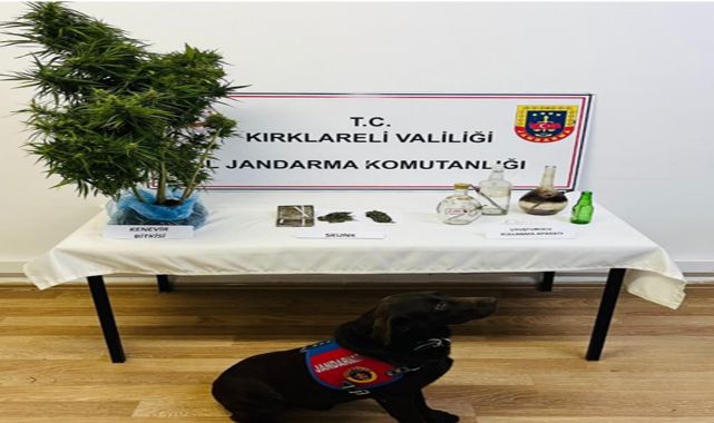 Jandarmanın kaçakçılık operasyonunda 5 tutuklama