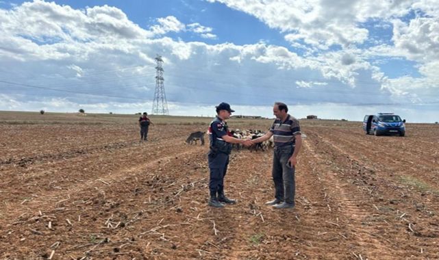 Kırklareli'de kaybolan hayvanlar dronla bulundu