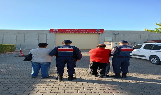 Balıkesir'de tarladan zeytin çalan 3 kişi suçüstü yakalandı