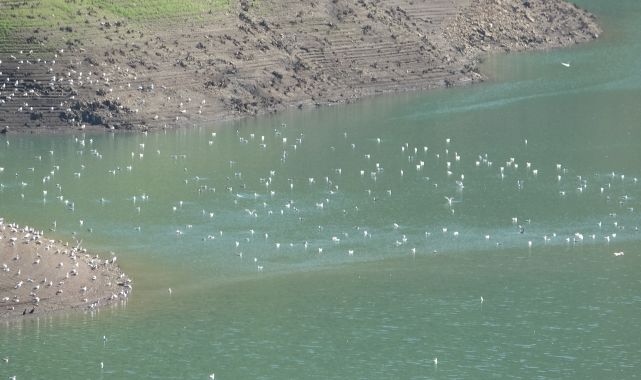 Barajda sular çekildi, eski köprü ortaya çıktı/Ek Fotoğraflar