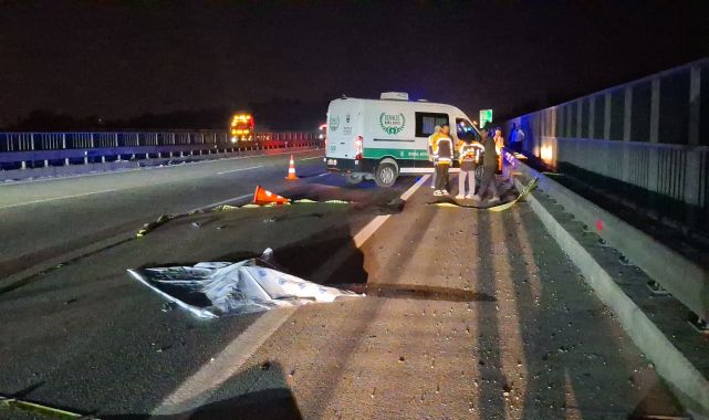 Bursa&#039;da, otoyolda yürürken otomobilin çarpmasıyla öldü