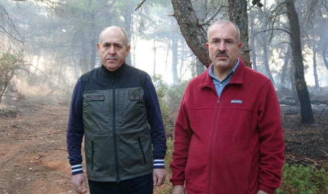Çanakkale'de orman yangını