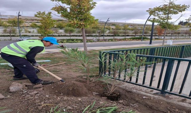 'Kızım ülkem için mücadele verirken ben şehrim için mücadele veriyorum'