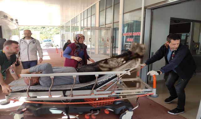 Motorlu testereyle odun keserken, bacağını kesti