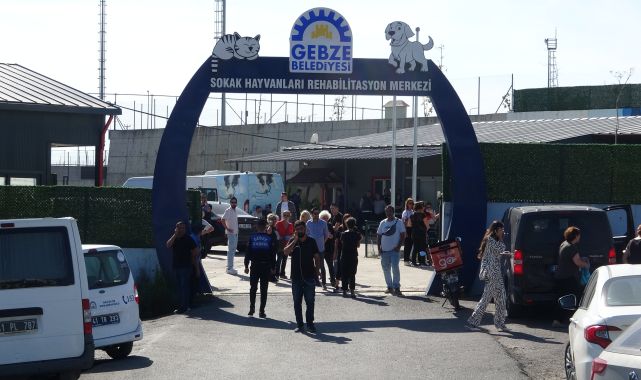 Rehabilitasyon merkezinde 45 hayvanın iğneyle öldürüldüğü iddiası