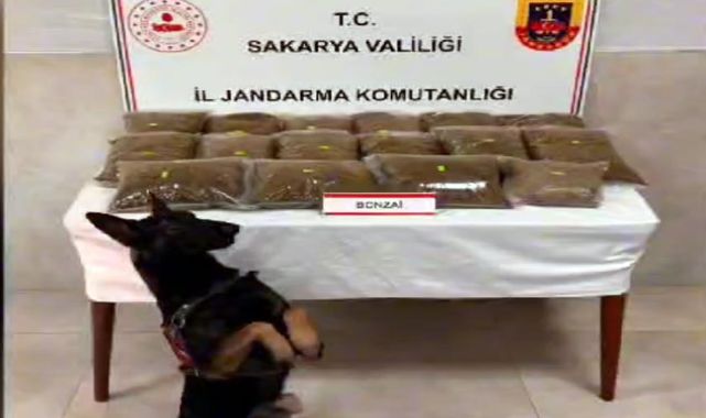 Sakarya'daki uyuşturucu operasyonlarına 3 tutuklama