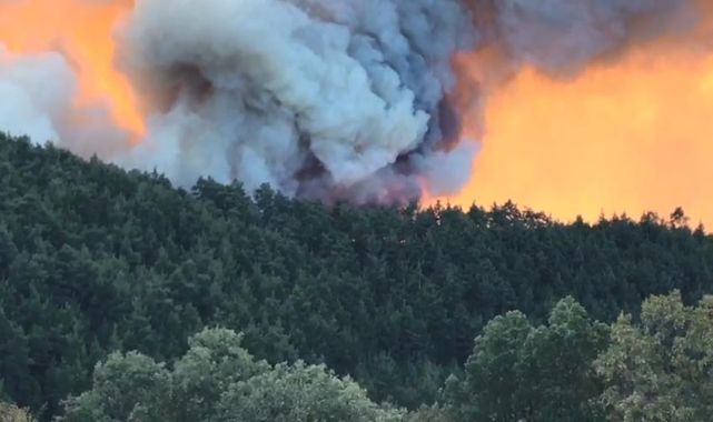 Bursa&#039;daki orman yangını Balıkesir&#039;e sıçradı (4)