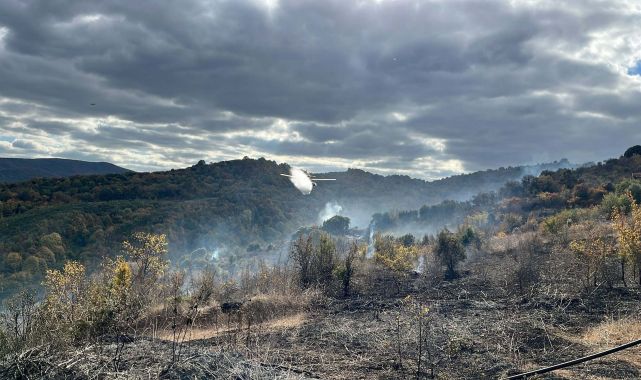 Çanakkale'de orman yangını