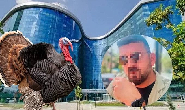 Memur, Hindi Çiftliği kurdum deyip, 50 milyonluk vurgun yaptı!