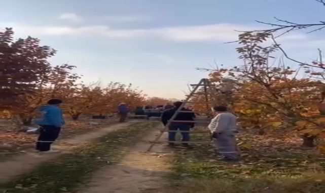 Ulu Önder Bursa'da anıldı; mevsimlik işçiler tarlada saygı duruşunda bulundu