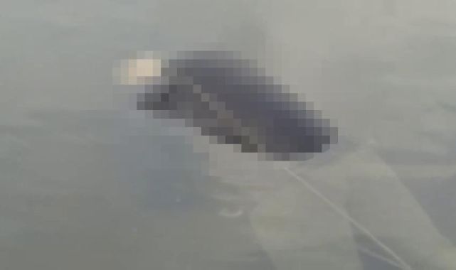 Balıkçıların ağına elleri ve ayakları bağlı erkek cesedi takıldı