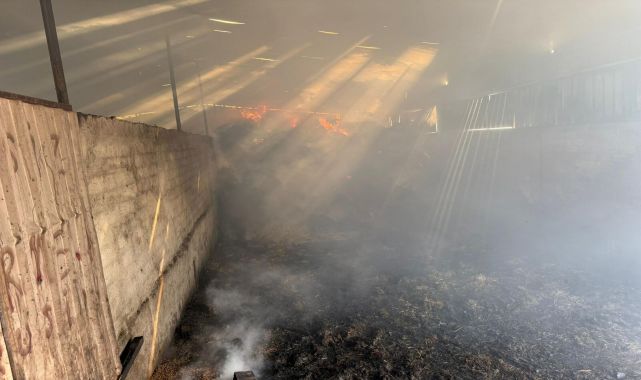 Çanakkale&#039;de ahır yandı; 6 büyükbaş öldü