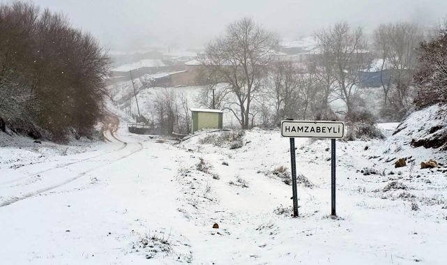 Edirne&#039;nin sınır köyleri kar yağışıyla beyaza büründü
