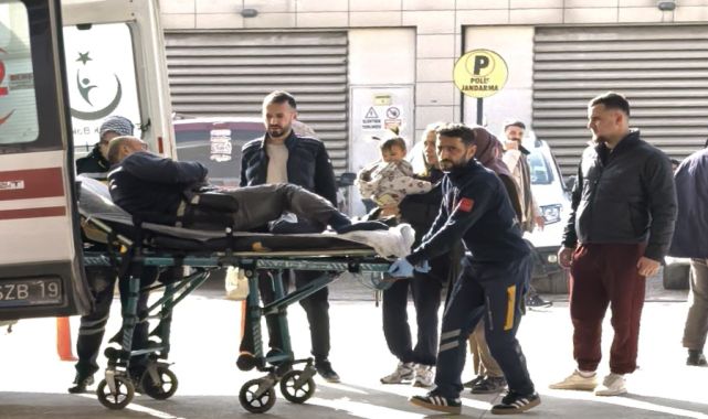 Budadığı ağaçtan düşüp yaralandı