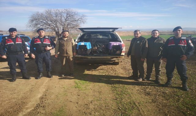 Çanakkale'de kaçak av operasyonu