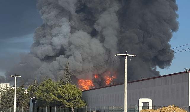 Oyuncak Fabrikasında Yangın!