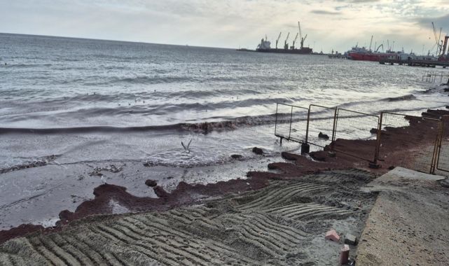 Tekirdağ'da sahili kırmızı yosun kapladı