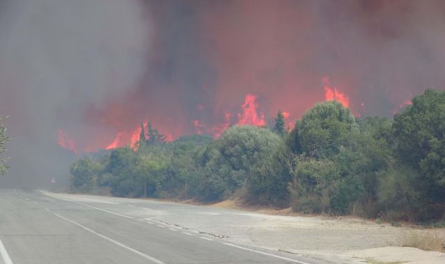 Gelibolu Yarımadası'nda çıkan yangının ekosisteme verdiği zarar araştırılacak