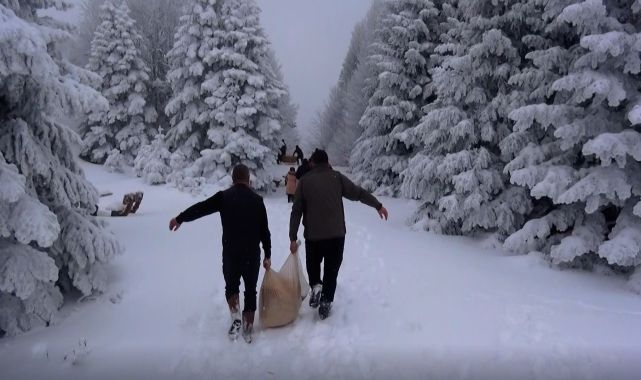 Karla kaplı Uludağ&#039;da yaban hayvanları için yem bırakıldı