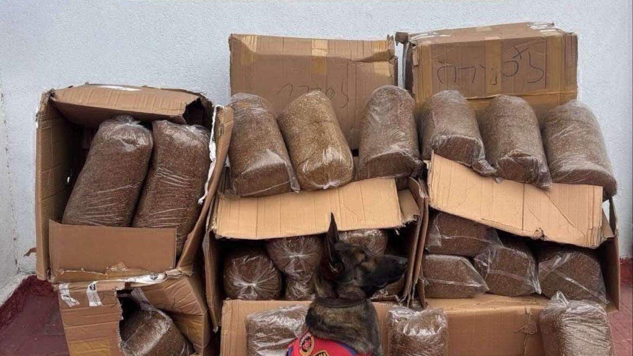  Çorlu'da 88 bin 400 makaron ele geçirildi