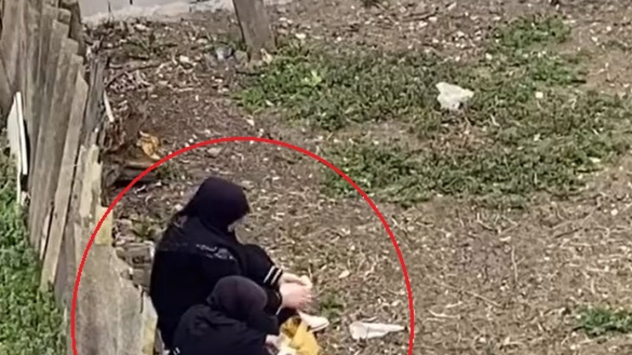 Dilencilik yoluyla topladıkları paraları saydılar