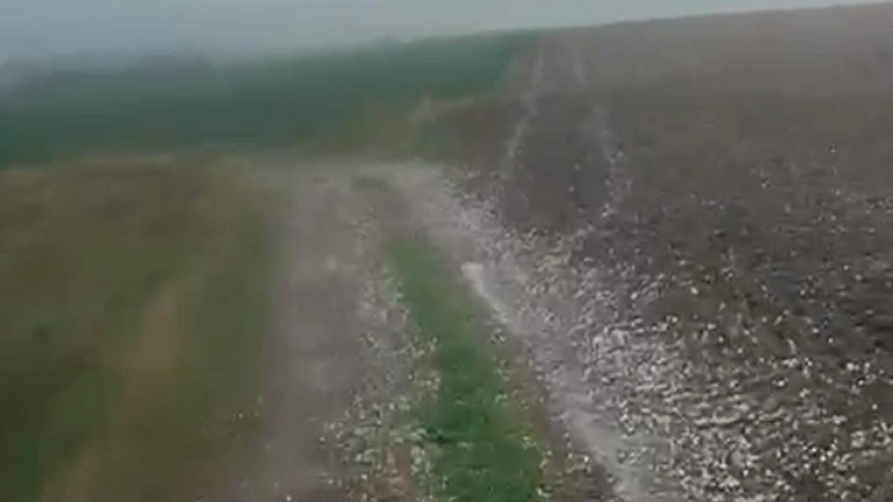 Edirne'de sağanak etkili oldu